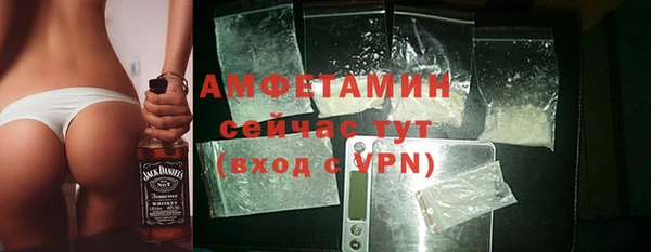 крисы Магас